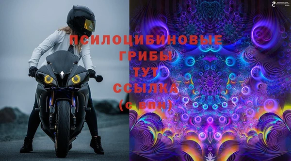 гидра Аркадак