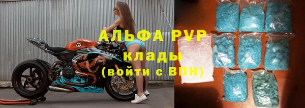 гидра Аркадак