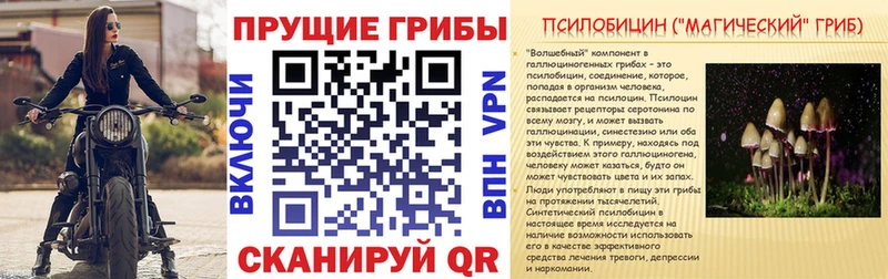 магазин продажи наркотиков  Белый  мега рабочий сайт  Галлюциногенные грибы Psilocybine cubensis 