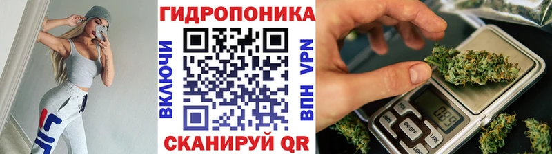 Шишки марихуана Amnesia Белый